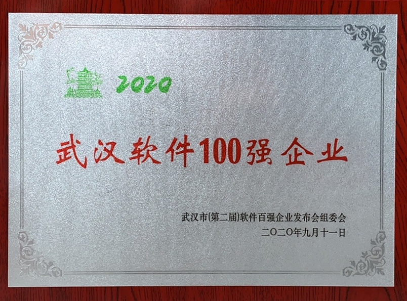 16、2020年武漢軟件100強企業(yè)